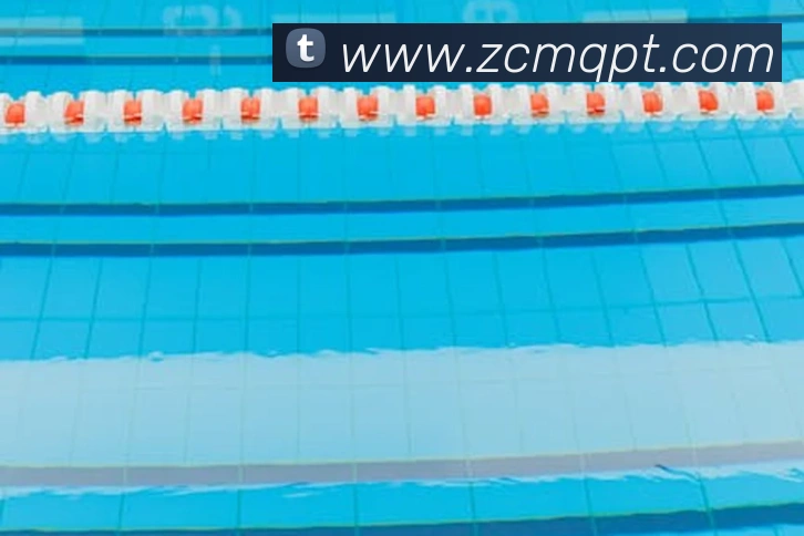 中超买球平台生态图